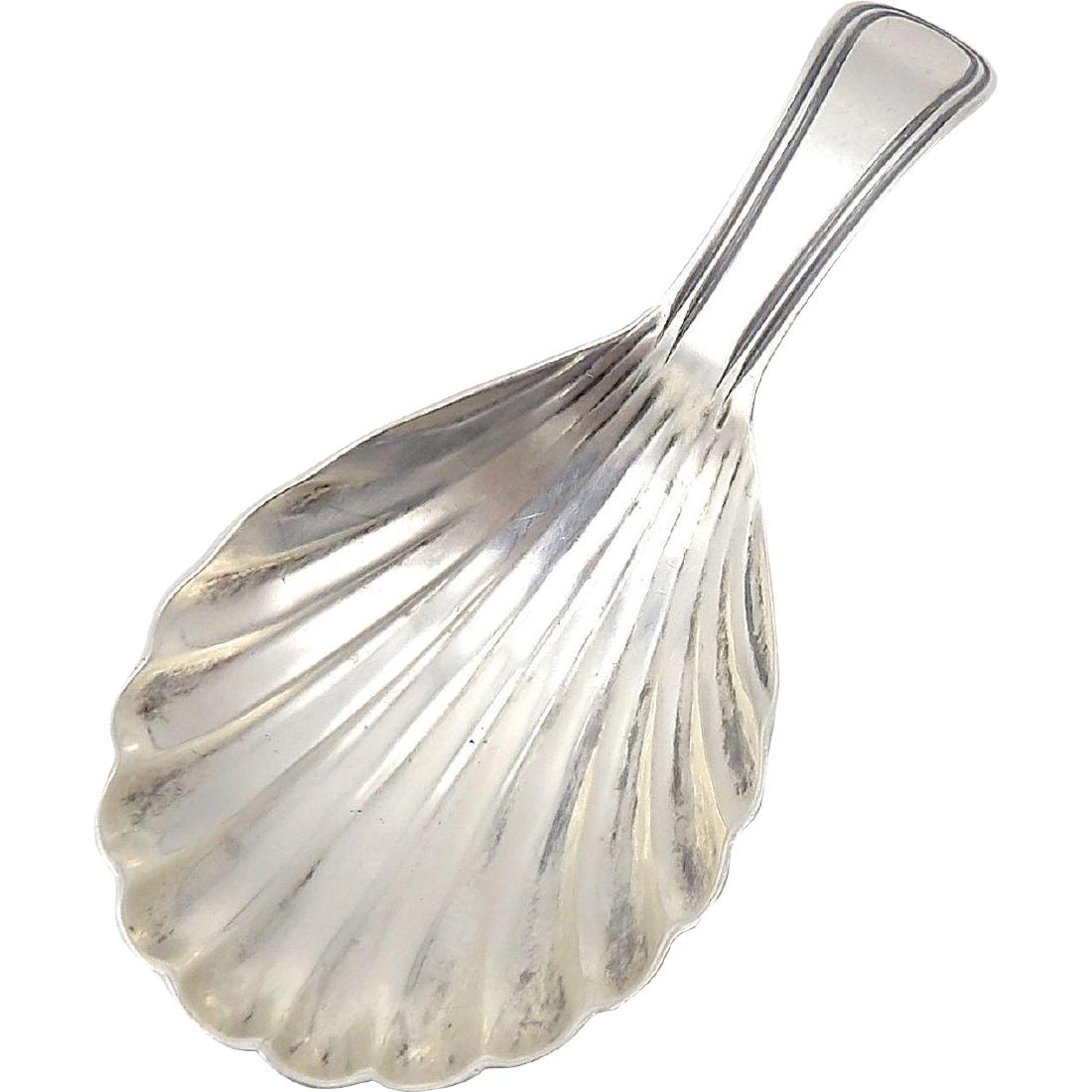 Elizabeth Morley Georgian Sterling Tea Caddy Spoon 1798 (1 of 8)