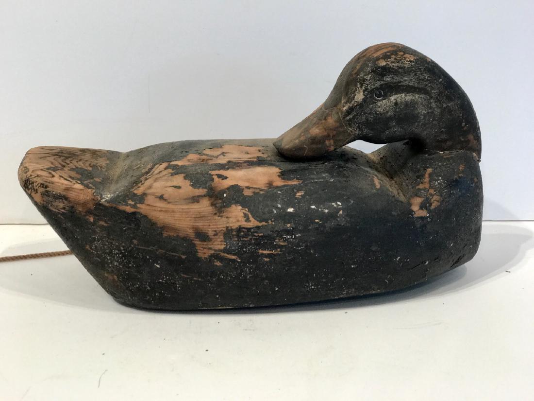 Sleeping Duck Decoy (1 of 5)