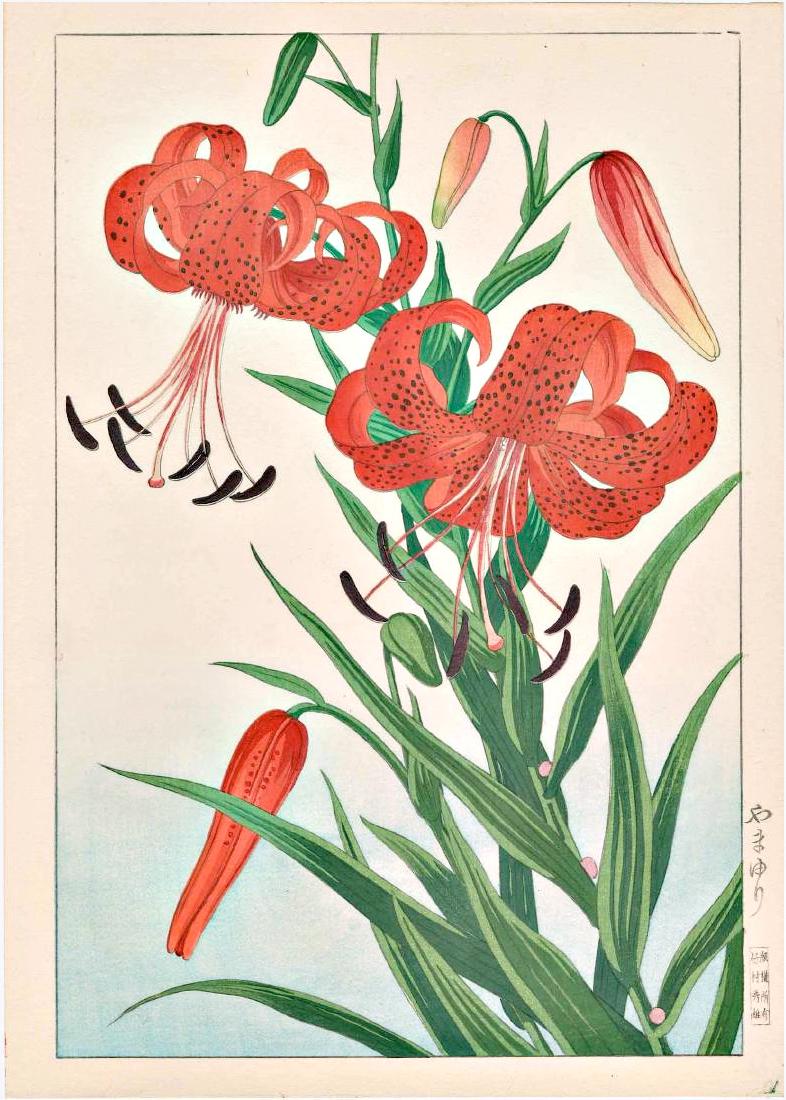 Hodo Nishimura: Tiger Lilies (1 of 1)