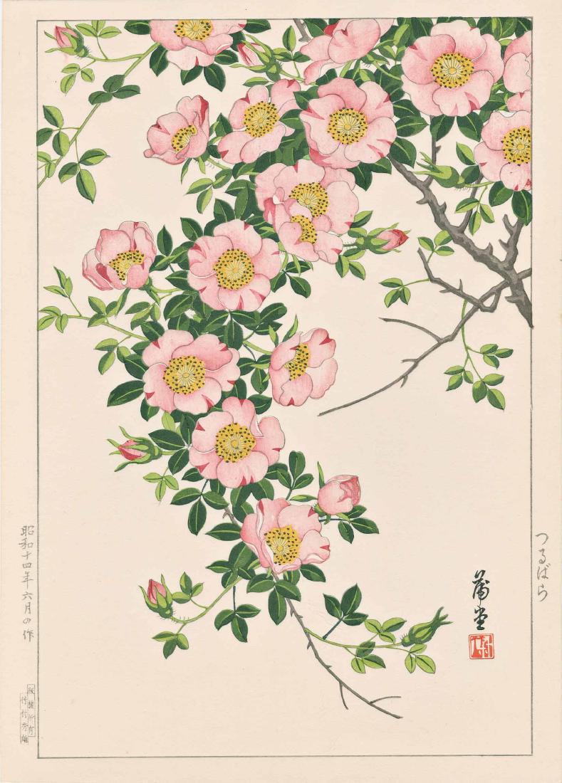 Hodo Nishimura: Japanese Rose (1 of 2)