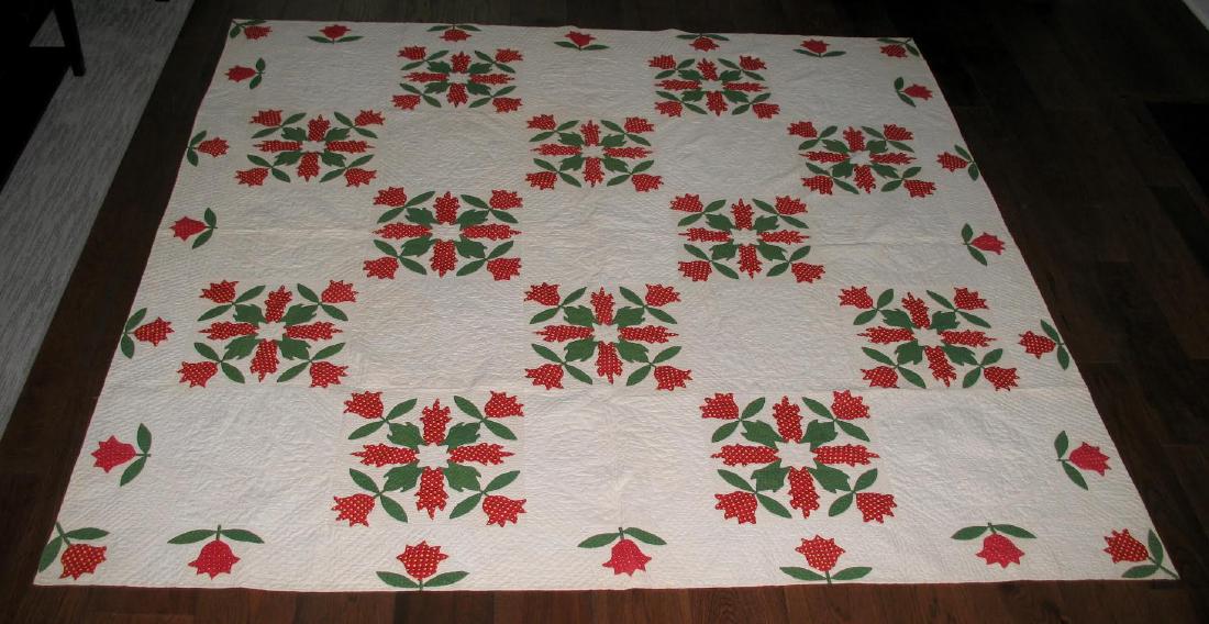 19th Century Applique Quilt (1 of 4)