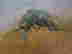 item-52857702=2