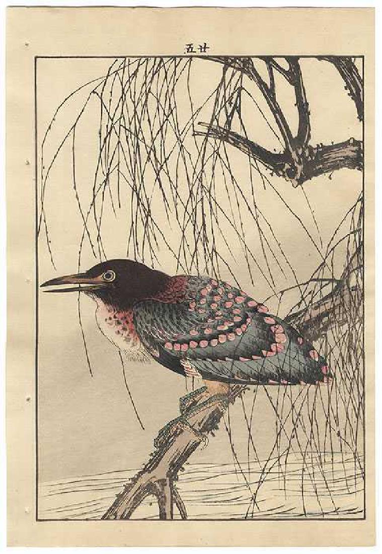 Imao Keinen: Willow, Little Bittern (1 of 1)