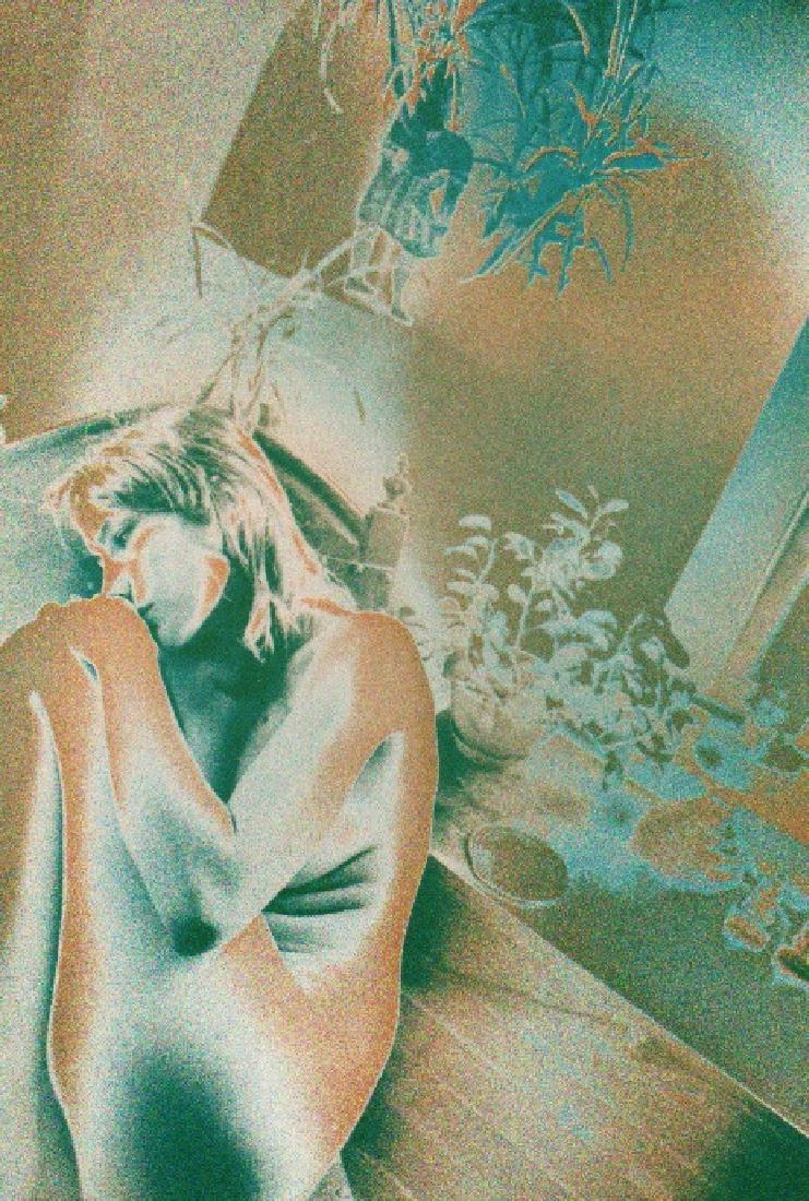 TODD WALKER - Processed Nude: Artist: TODD WALKER Print Title: Processed Nude Medium: PhotoLitho 455/600 Printed in Kentucky, 1978 Image Size: 5 x 7" Please note that this lot has a confidential reserve. When you leave a bid in ad