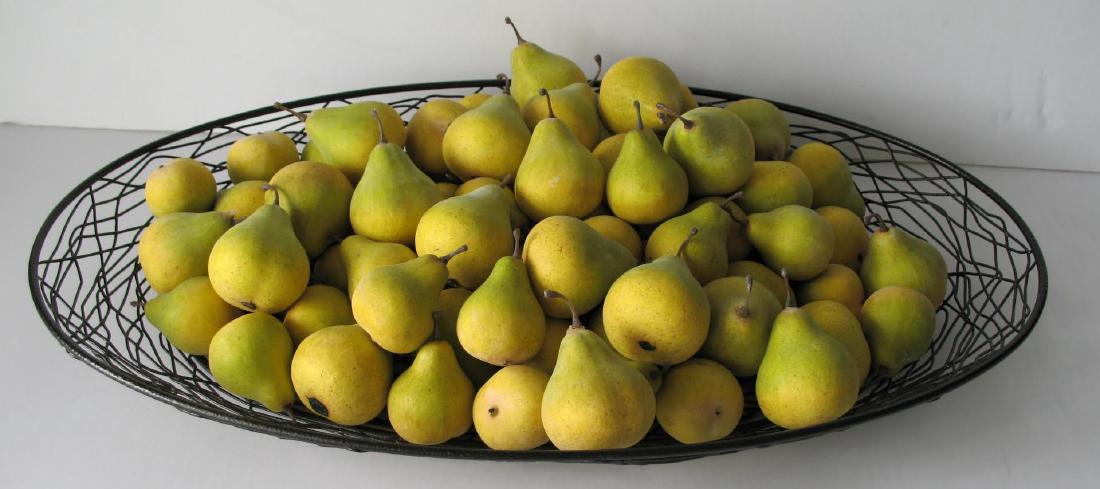 Collection of Country Store Display Pears (1 of 1)