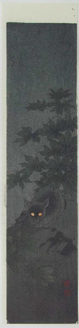 Koho Shoda: Black Cat at Night (1 of 1)