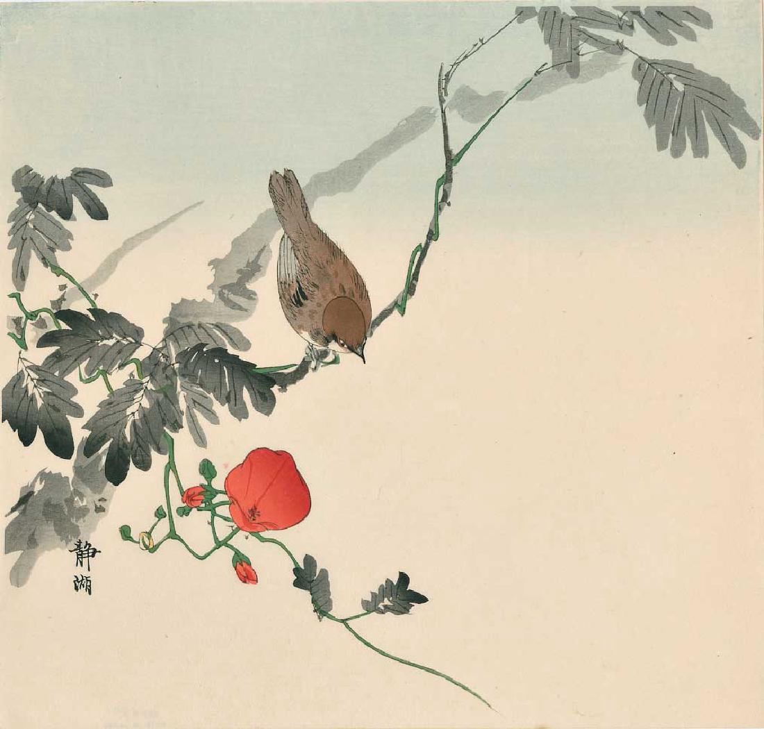 Seiko Okuhara: Sparrow on a Flowering Branch: Seiko Okuhara. Sparrow on a Flowering Branch. 1930s, uncirculated print, never framed. 10.2 x 9.7. Japanese woodblock print. Please note that this lot has a confidential reserve. When you leave a bid 