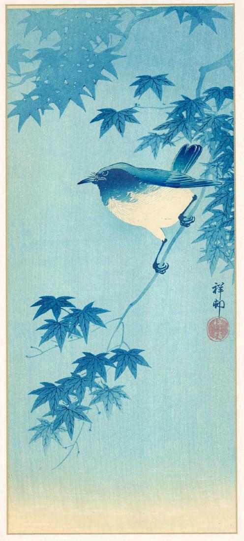 Ohara Koson: Blue Robin On Twig Of Maple Tree: Artist: Ohara Koson Blue Robin on Twig of Maple Tree Size: O-tanzaku. Visible area: 14.75 x 6.5 inches Matted size: 18.0 x 10.75 inches Date: pre-1936 Publisher: Watanabe Shozaburo Medium: Japanese Wo