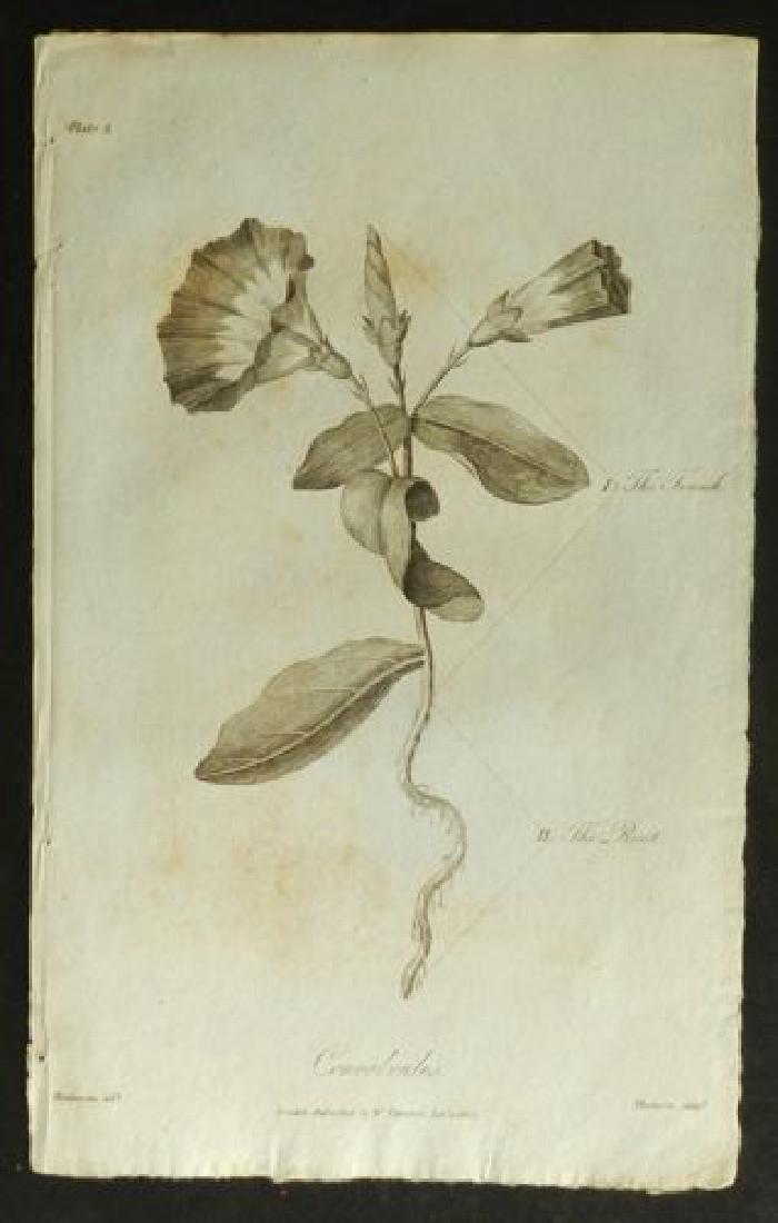 Plate 2, 1812 Antique Print (1 of 1)