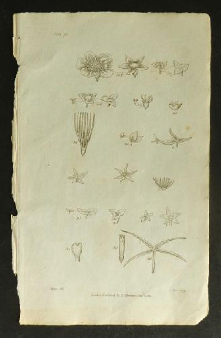 Plate 76, 1812 Antique Print (1 of 1)