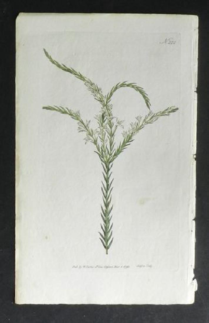 Plate 222, 1845 Handcolored Print (1 of 1)