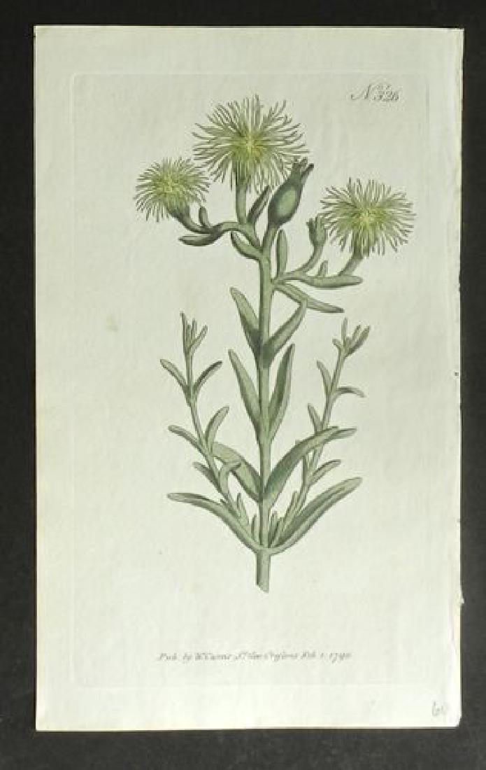 Plate 326, 1845 Handcolored Print (1 of 1)