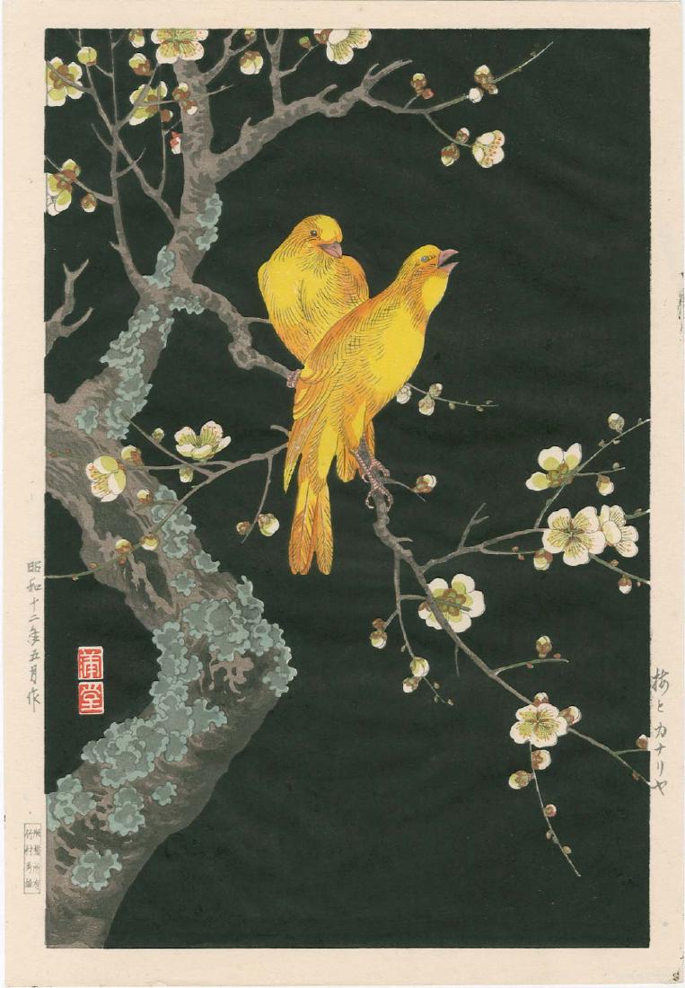 Hodo Nishimura: Canaries (1 of 2)