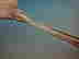 item-53946939=4