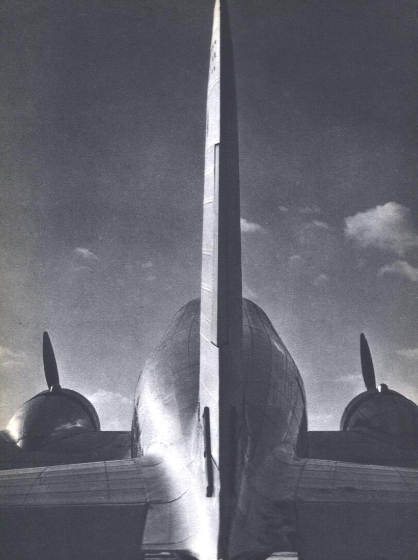 DIMITRI KESSEL - Tail: Artist: DIMITRI KESSEL Print Title: Tail Medium: Sheet-Fed Gravure Printing Date: 1936 Printed USA Image Size: 8" X 10.5" Dmitri Kessel (1902-1995) was a photojournalist and staff photographer on Life