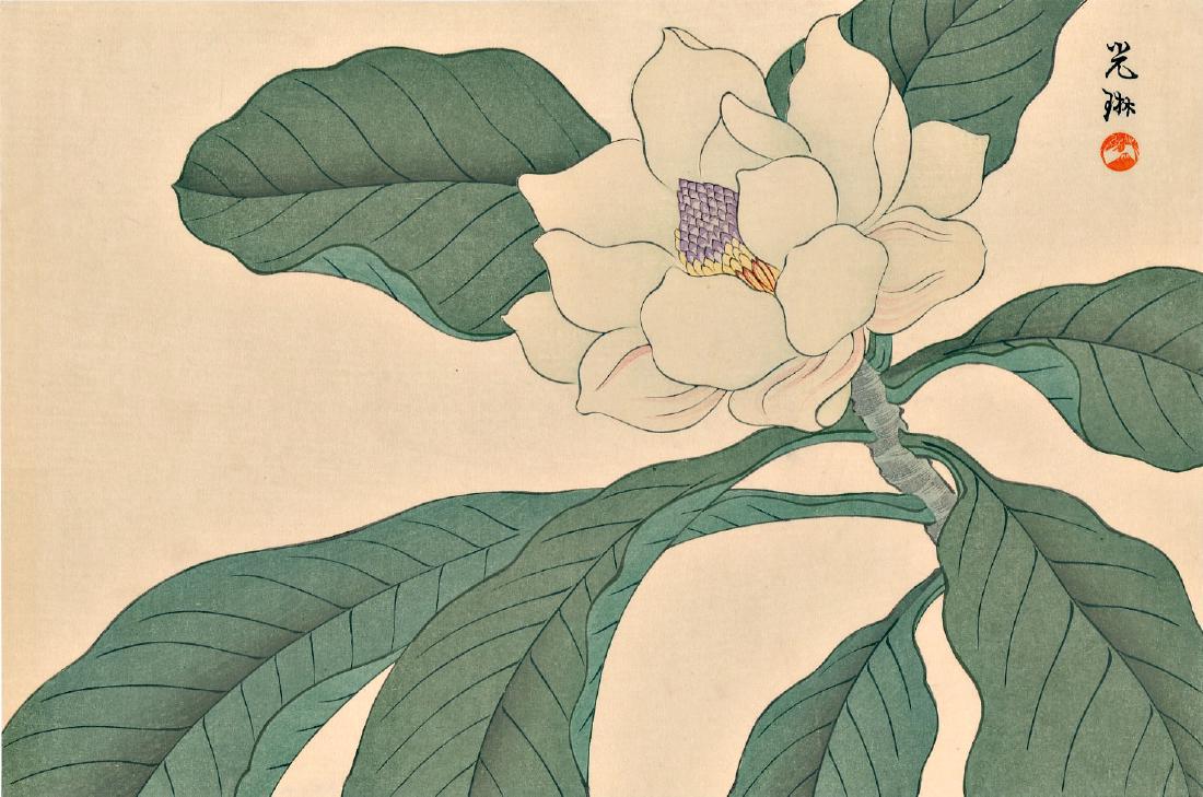 Korin Ogata Japanese Woodblock Print: Artist: Korin Ogata Magnolia Blossom 1930, published by the Shima Art Co. Provenance: From the estate of Robert O. Muller 15.5 x 10.25 inches Medium: Japanese Woodblock Print Ogata Korin (1658-1716) w