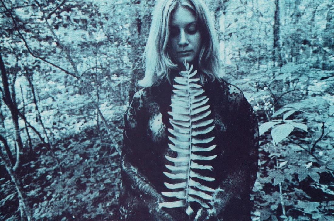 TODD WALKER - Fern: Artist: TODD WALKER Print Title: Fern Medium: PhotoLitho 455/600 Printed in Kentucky, 1978 Image Size: 7 x 4.5" Please note that this lot has a confidential reserve. When you leave a bid in advance of