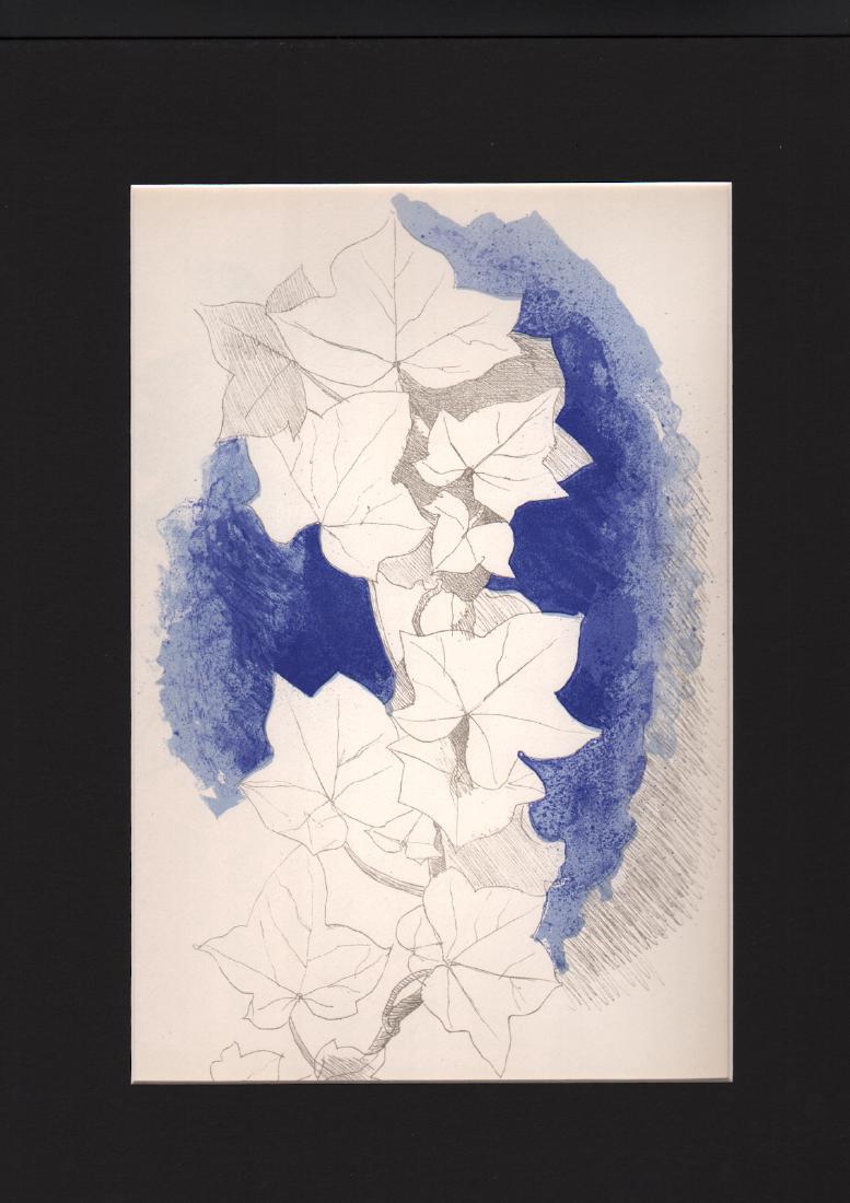 George Braque - Untitled - Color Lithograph: This lithograph was issued in 1955; Published by Mourlot for the deluxe art revue Verve Sheet size 10 x 14. Quite often these had either text or other images on the reverse. Please note that this lot 