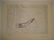 Pablo Picasso: Suite Vollard Lithograph - SIGNED