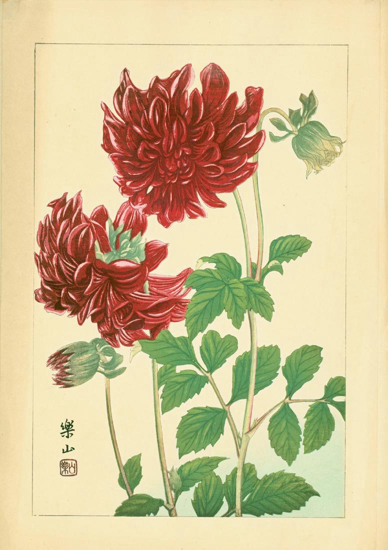 Tsuchiya Rakuzan Dahlia Japanese Woodblock Print: Artist: Tsuchiya Rakuzan Dahlia Western Flower Series (You Souka Fu) Publisher: Maria Gabo Date: 1930s Size: Oban. Approximately 17.25 x 11.75 inches Attached at top corners to 18.0 x 12.25 backing pa