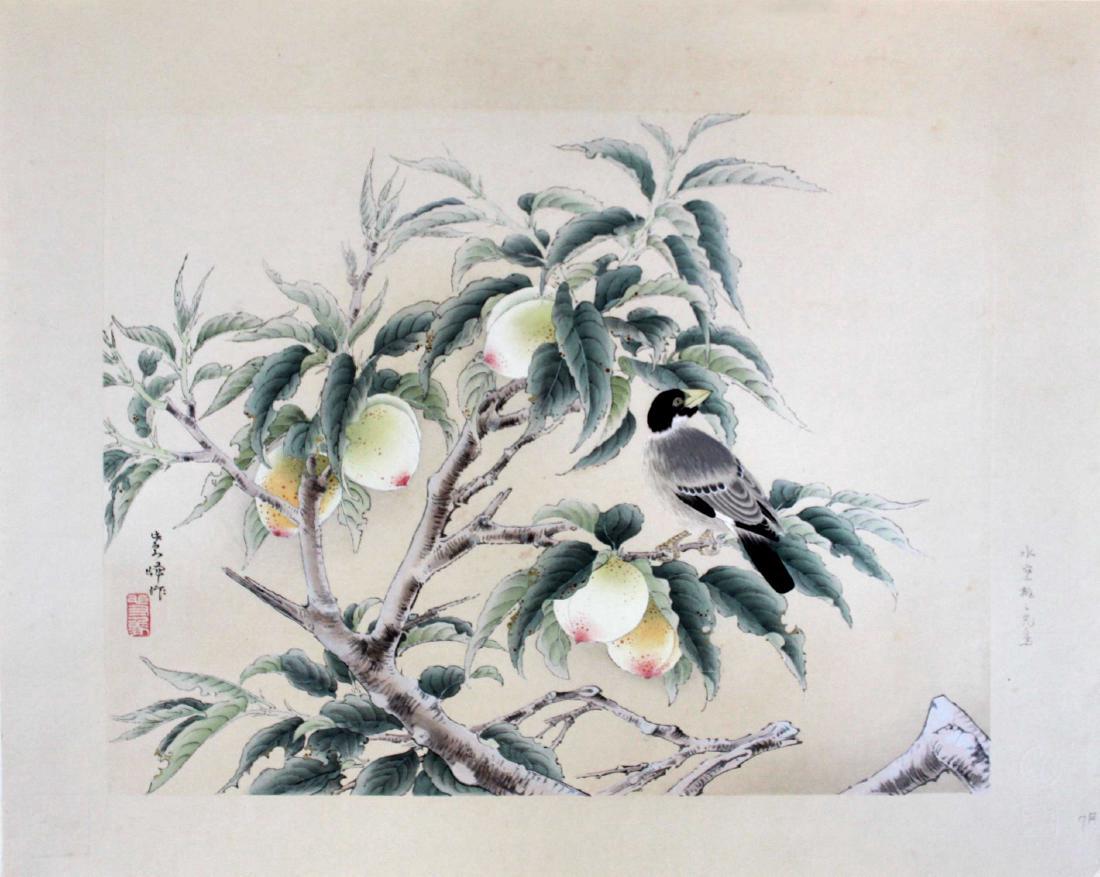 Shiho Sakakibara Peaches Japanese Woodblock Print: Artist: Shiho Sakakibara Peaches and Paradise Flycatcher 1960 Printed from the original Akiho blocks 29/200, numbered/labeled on verso cream laid paper with mica sheen; embossed in lower right 25 x 20