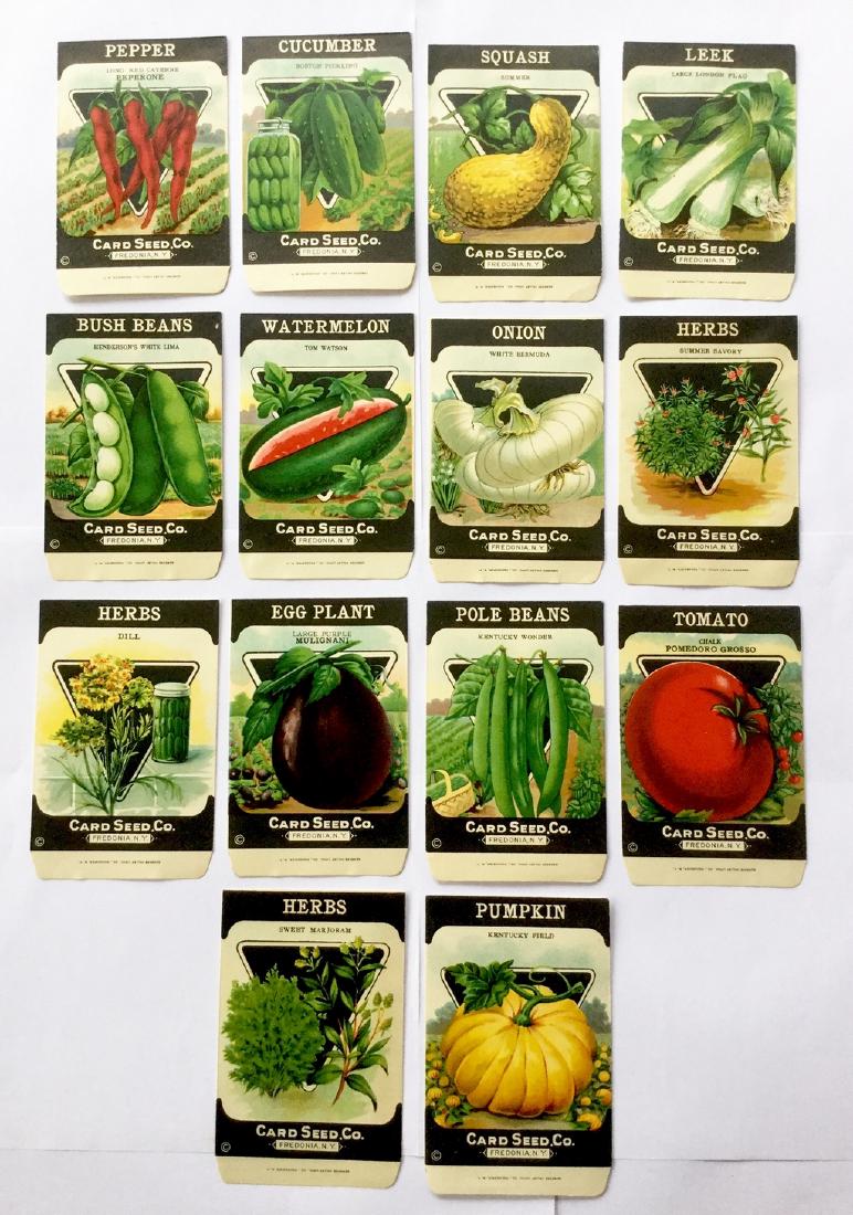 14 Antique Card Seed Co. Seed Packets (1 of 5)
