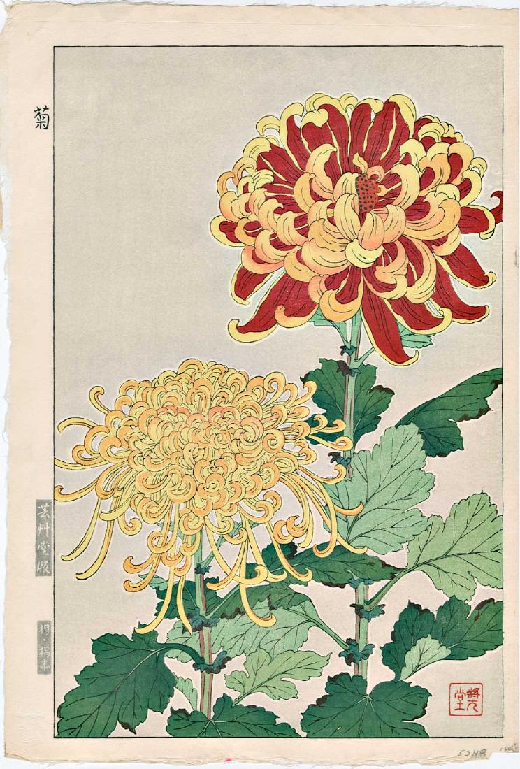 Shodo Kawarazaki Chrysanthemum Japanese Woodblock Print