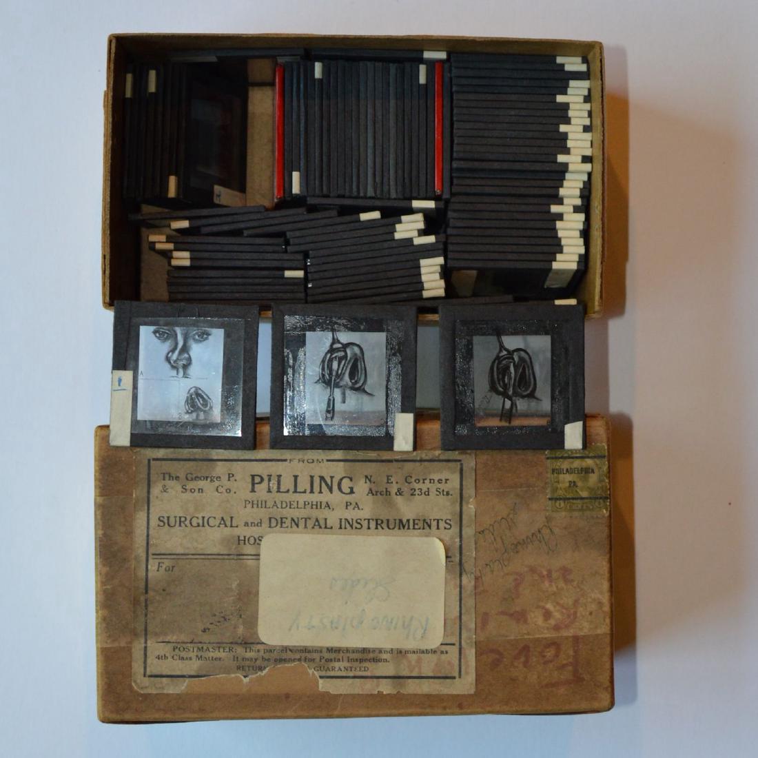 1930s Medical Rhinoplasty Nose Job Glass Slide Set (1 of 8)