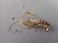 14K Yellow Gold Diamond Ruby Lobster Slide Pendant