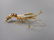 14K Yellow Gold Diamond Ruby Lobster Slide Pendant - 5