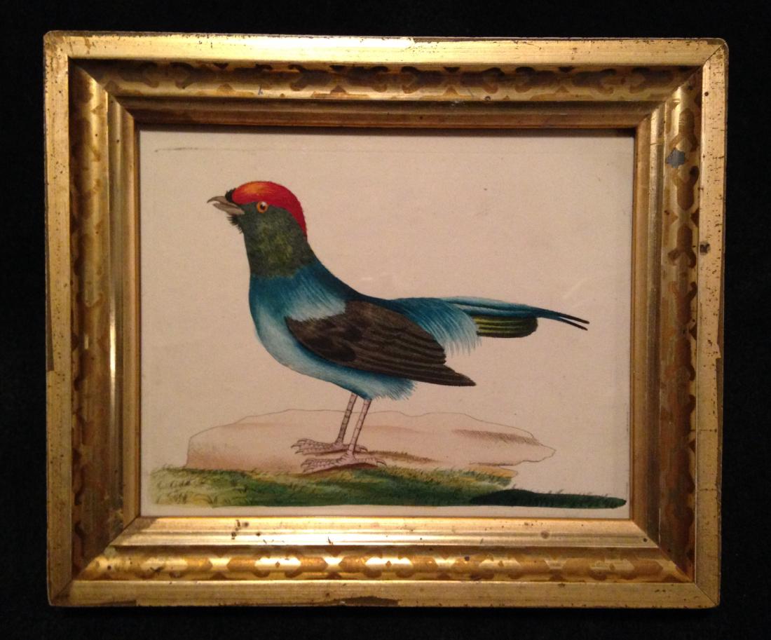 1790 Hand Watercolored Framed Copperplate Engraving (1 of 2)