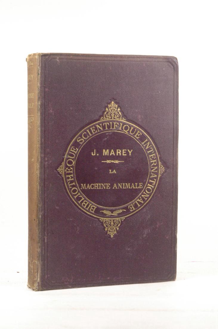 La Machine Animale Locomotion Terrestre Et Aerienne (1 of 1)