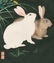 Hodo Nishimura First Edition Woodblock Rabbits Night - 2