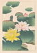 Hodo Nishimura Woodblock Lotus Blossoms