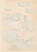 Hodo Nishimura Woodblock Lotus Blossoms - 2