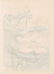 Hodo Nishimura Woodblock Pink Lotus Blossoms - 2