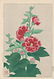 Kawarazaki Shodo First Edition Woodblock Hollyhock