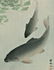 Ohara Koson Woodblock Two Koi Fish - 2