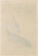 Ohara Koson Woodblock Two Koi Fish - 3