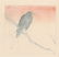 Seiko Okuhara Woodblock Crow on a Branch at Sunset - 2