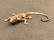 Antique Sherwin Williams Iron Lizard Mascot, Circa 1900