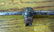 Copper Arrow Weathervane Mid 20th Century - 8