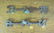 Miniature Weathervane Directionals Mid 20th Century - 3