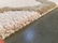 Modern Hand Tufted Carved Wool Rug 5x8 - 7
