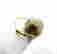 item-56340420=2