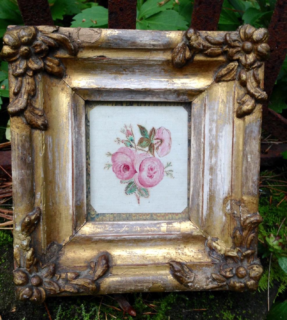 Moss Rose Watercolor 1840s (1 of 3)