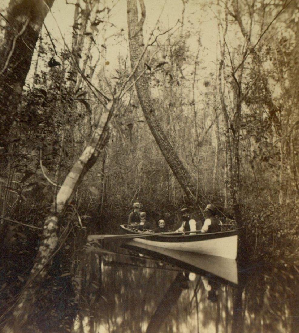 1880 Five People Row Boat Through Wooded Florida Swamp (1 of 1)