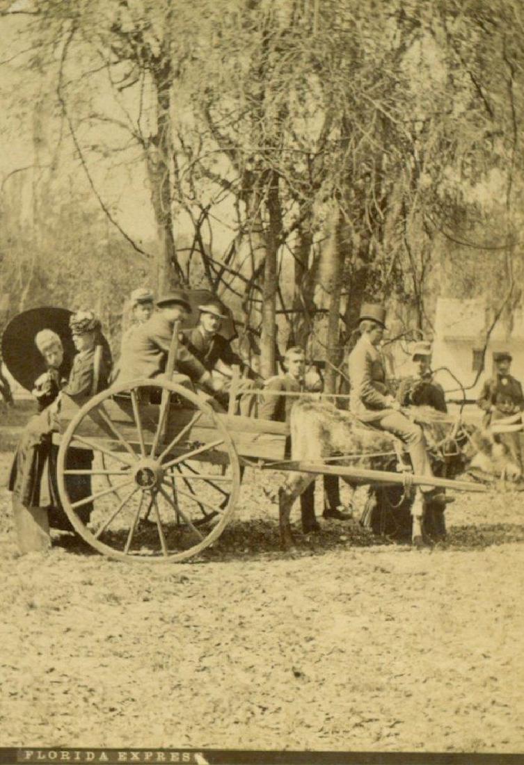 1880 Ox and Cart Passengers & Rider Florida (1 of 3)