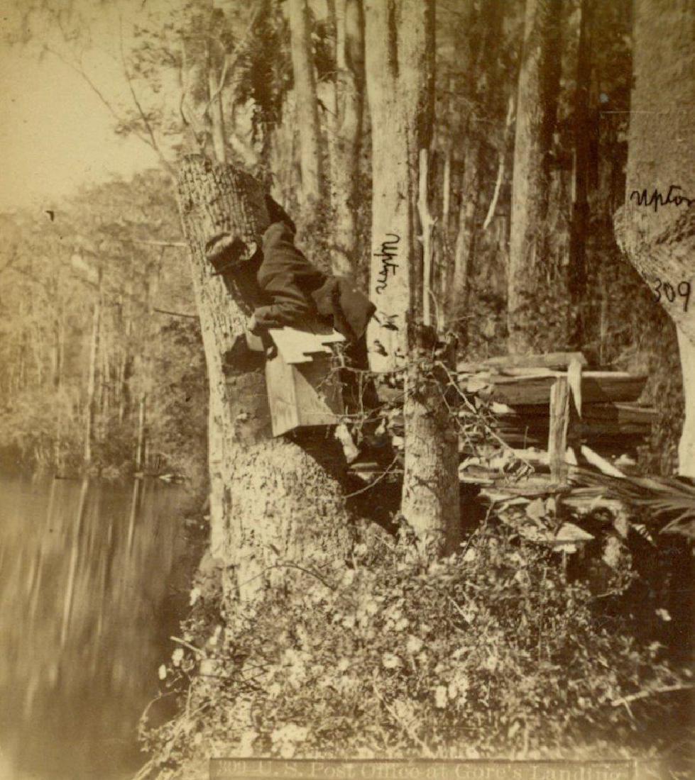 1880 Gores Landing Ocklawaha River Florida Post Man: Circa 1880 GORE'S LANDING, Ocklawaha River, Florida Stereoview; Depiction a man leaning over a wooden box which is attached to a tree stump. Identification in negative reads; "309. U.S. Post Office at
