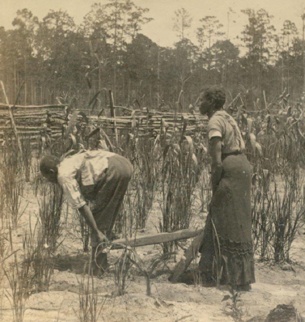 1880 Savannah African American Woman Man Pulls Plow (1 of 3)